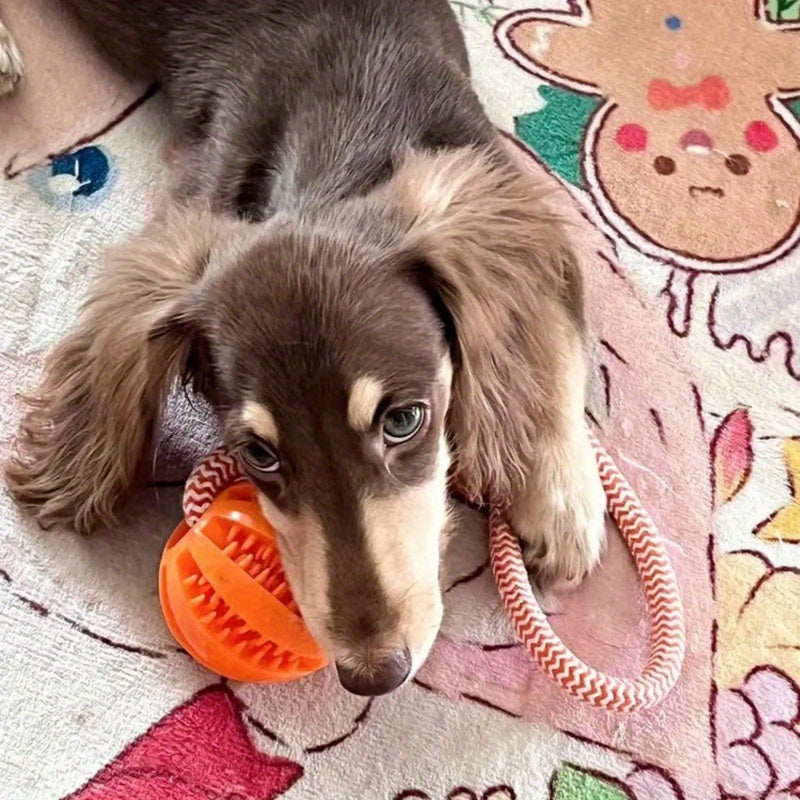 Brinquedo Interativo para Cães com Dispensador de Petiscos